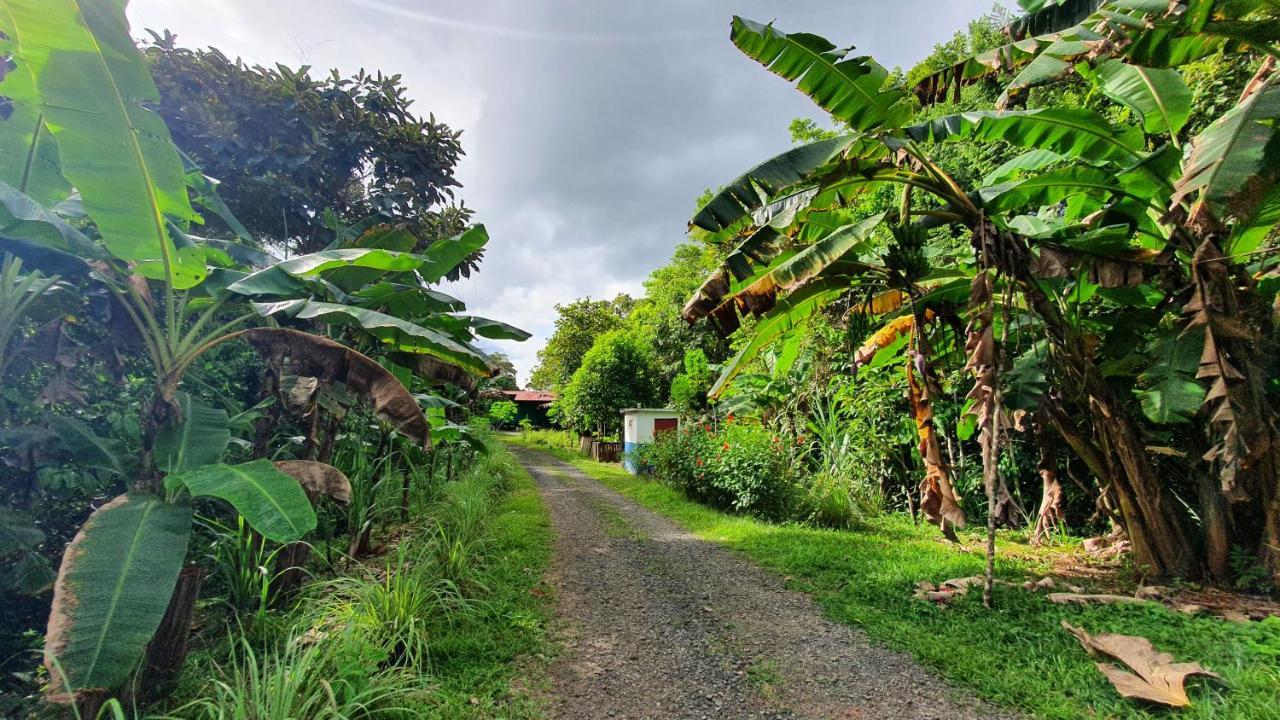 Hotel Jungle Eco Reserve Colón Exterior foto